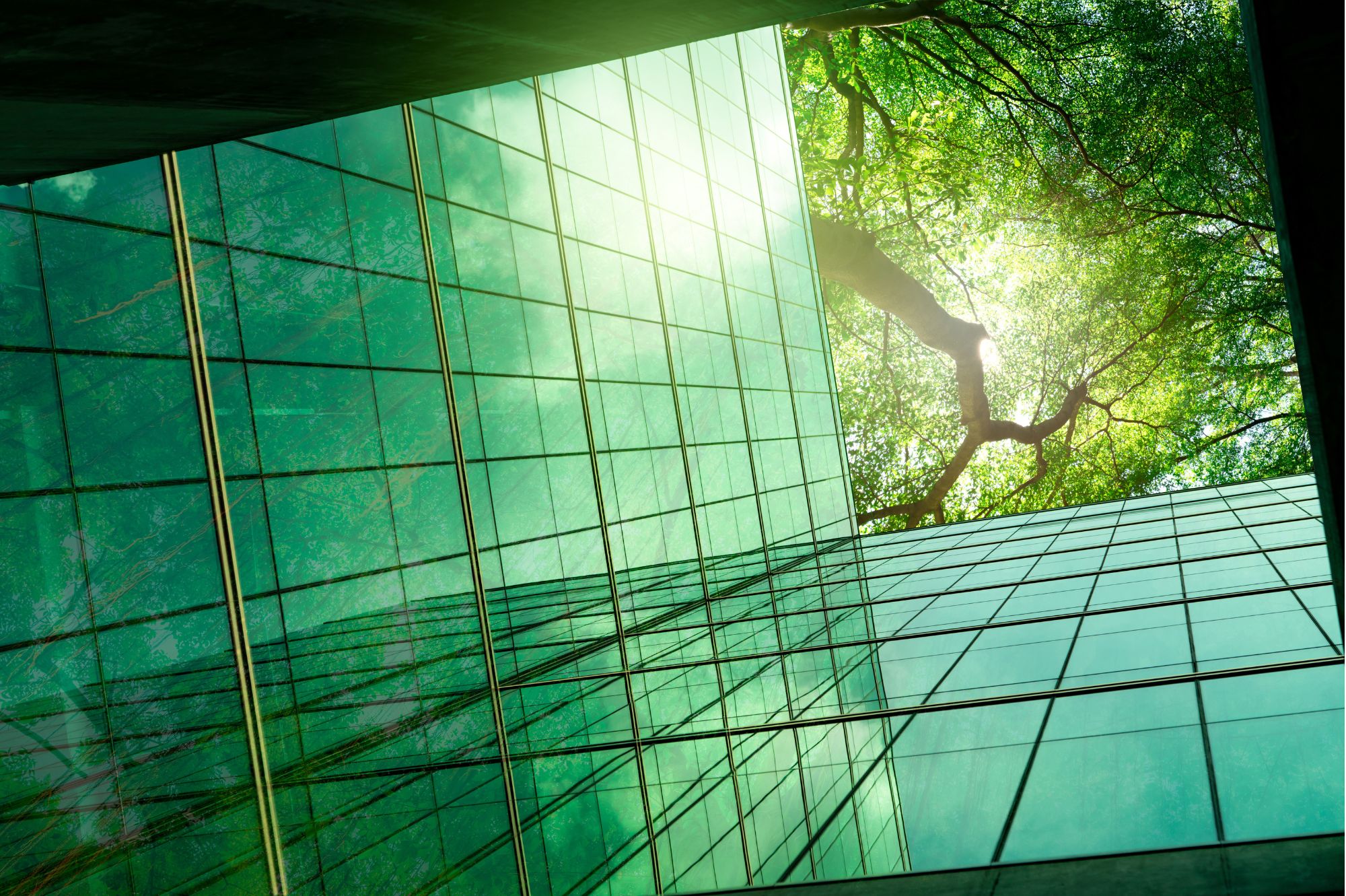 Sustainability Background